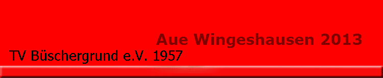 Aue Wingeshausen 2013