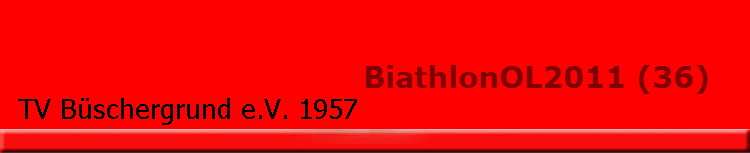 BiathlonOL2011 (36)